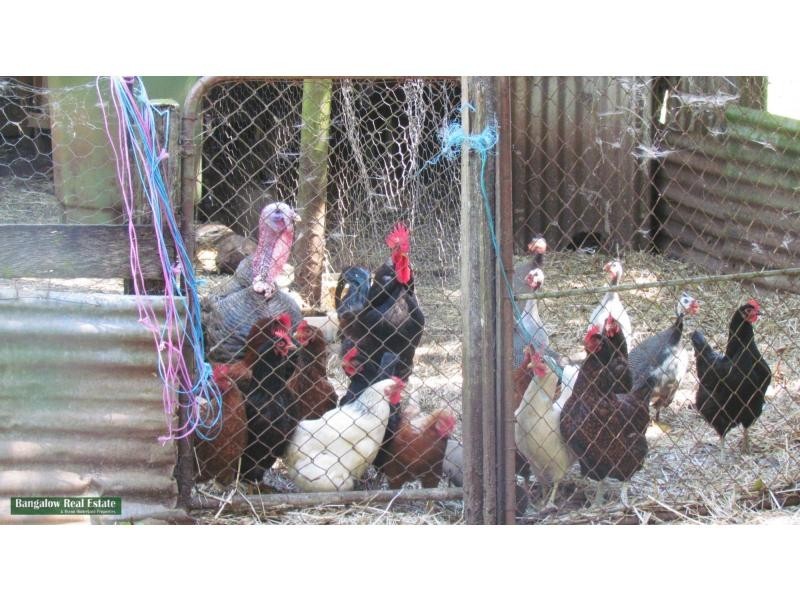 11 Starkey Road, Whian Whian NSW 2480