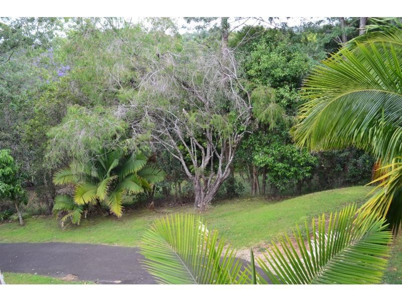 8 Coachwood Court, Federal NSW 2480