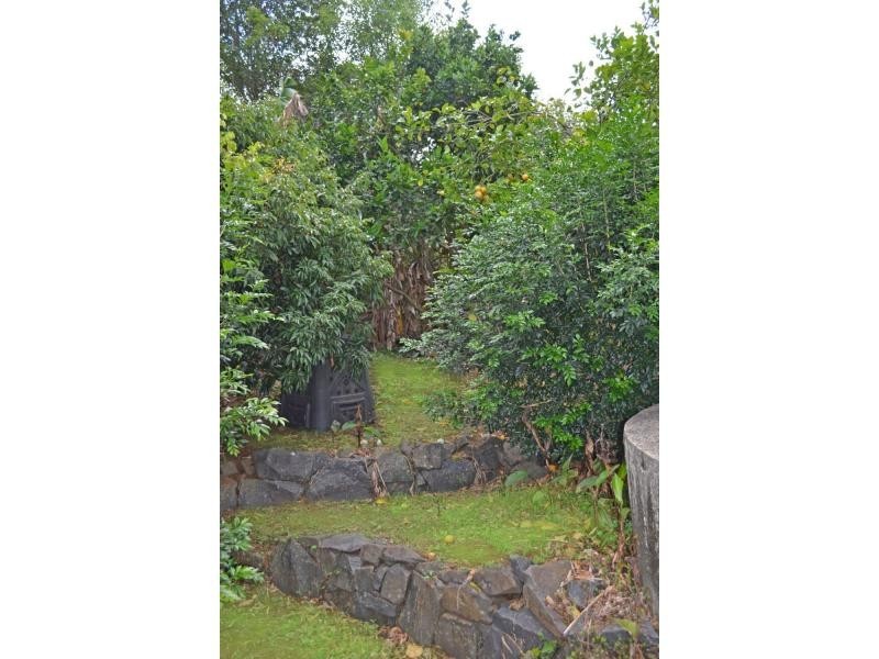 8 Coachwood Court, Federal NSW 2480