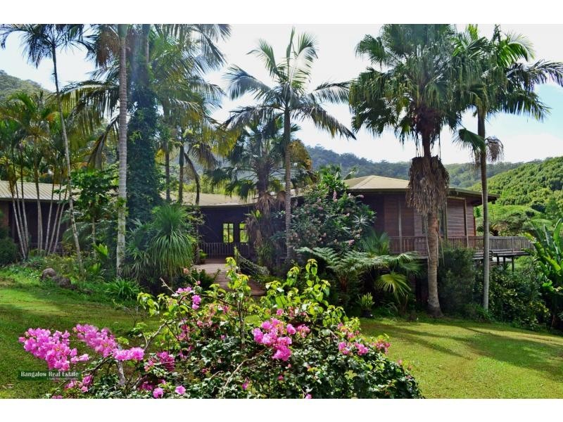 Upper Coopers Creek NSW 2482