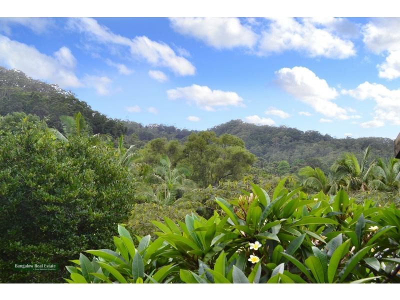 Upper Coopers Creek NSW 2482