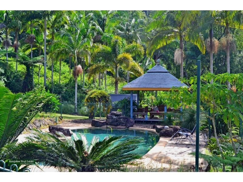 Upper Coopers Creek NSW 2482