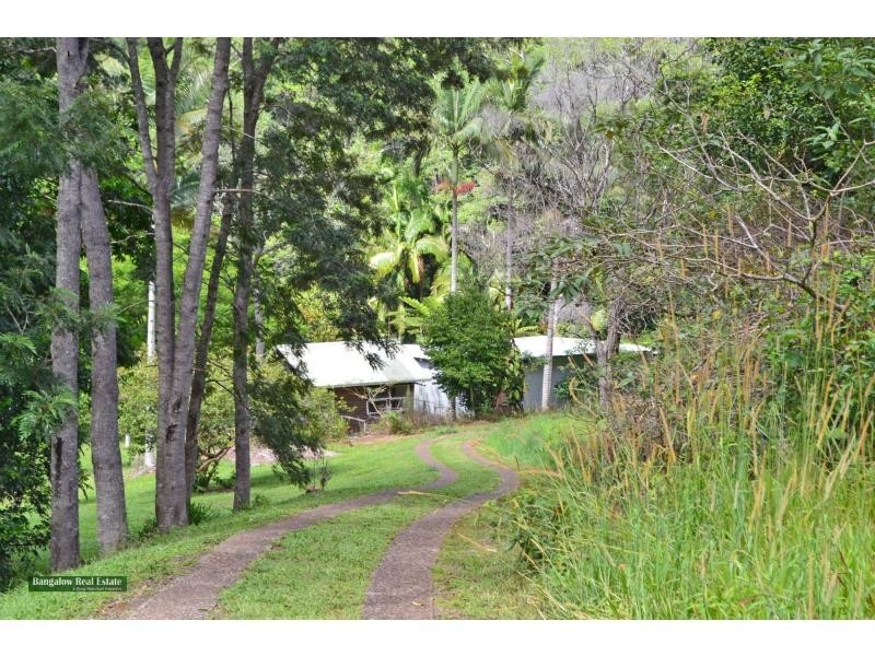 Upper Coopers Creek NSW 2482