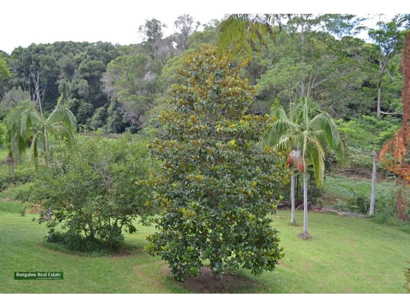 Upper Coopers Creek NSW 2482