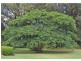 Bangalow NSW 2479