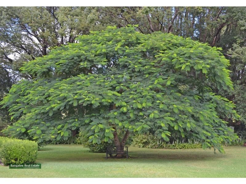 Bangalow NSW 2479