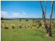 Clunes NSW 2480