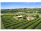 1 Pearces Creek Hall Road, Eltham NSW 2480