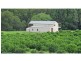 1 Pearces Creek Hall Road, Eltham NSW 2480