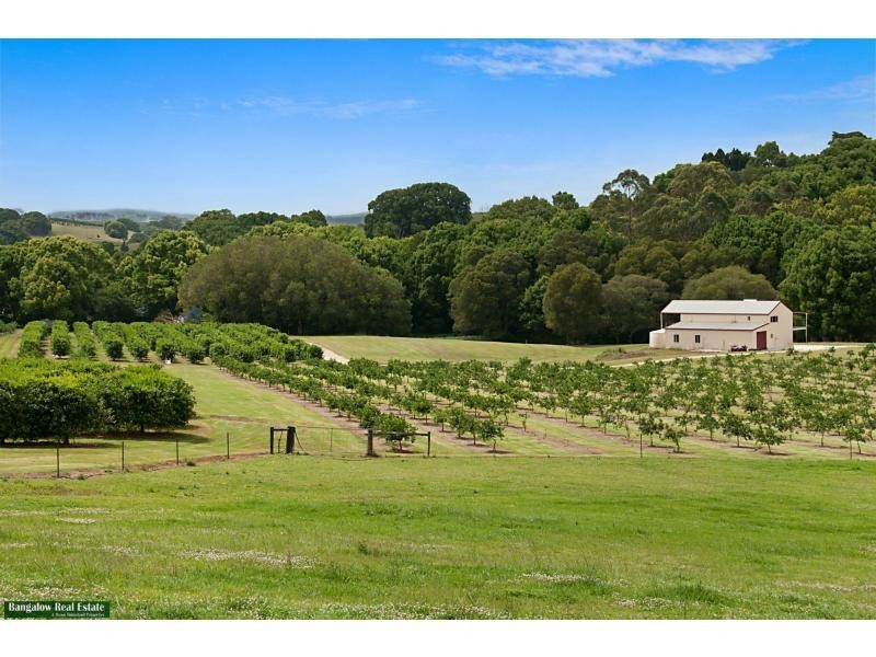 1 Pearces Creek Hall Road, Eltham NSW 2480