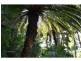 Old Byron Bay Road, Newrybar NSW 2479