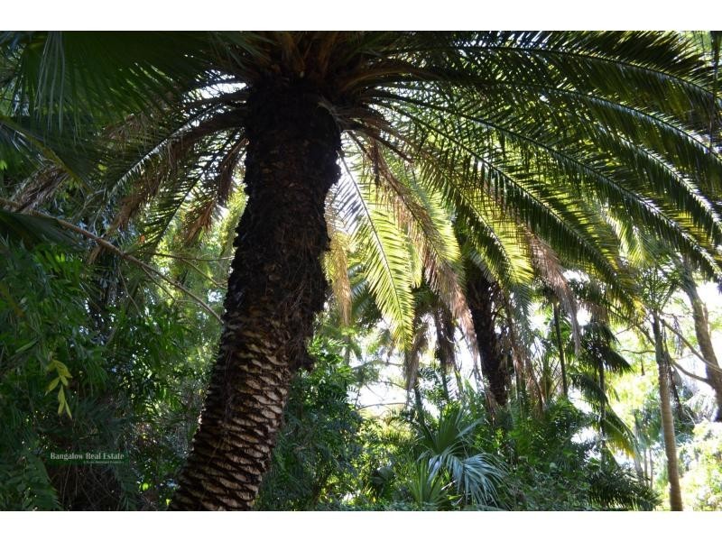 Old Byron Bay Road, Newrybar NSW 2479