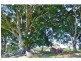 219 James Gibson Road, Clunes NSW 2480