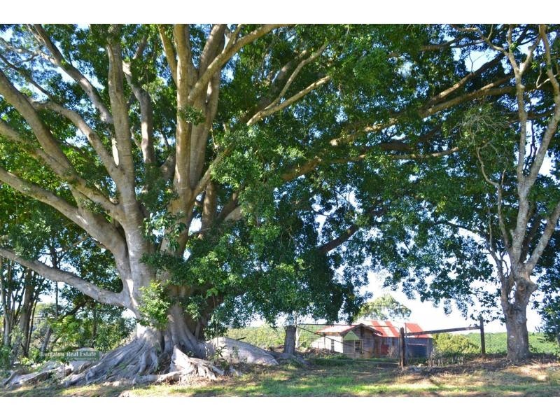 219 James Gibson Road, Clunes NSW 2480