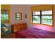 219 James Gibson Road, Clunes NSW 2480
