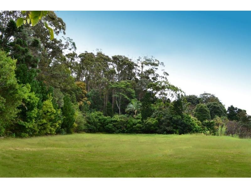 849 Fernleigh Road, Newrybar NSW 2479