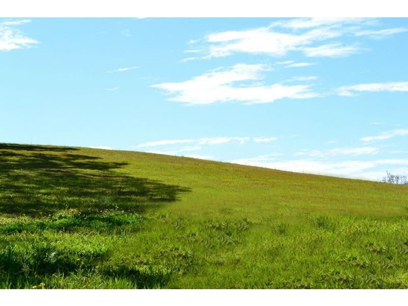 849 Fernleigh Road, Brooklet NSW 2479