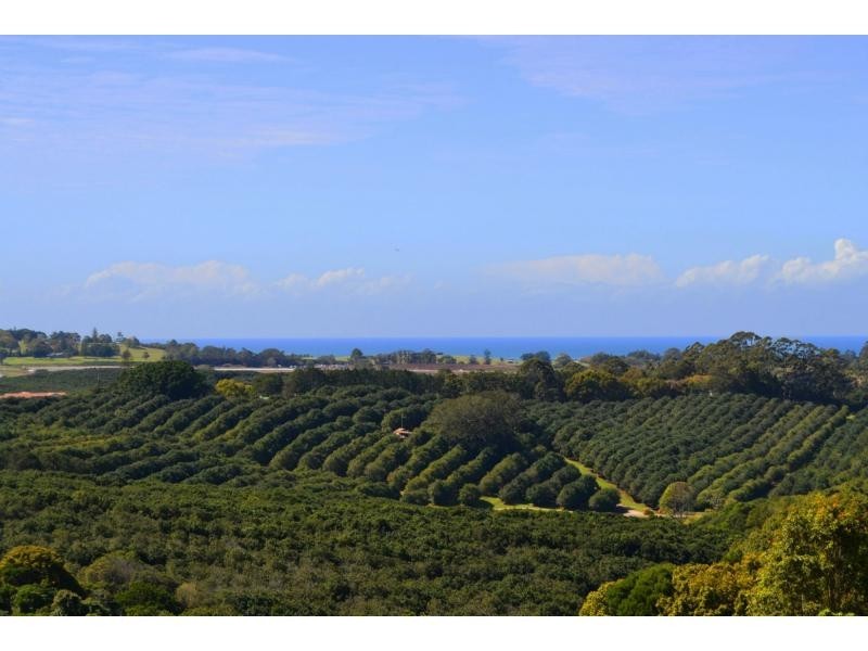 849 Fernleigh Road, Brooklet NSW 2479