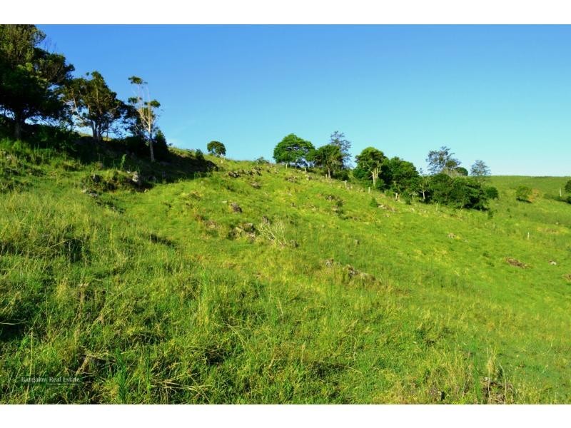 47 Walmsley Road, Eltham NSW 2480