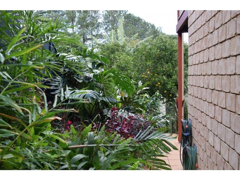 12 Walker Street, Clunes NSW 2480