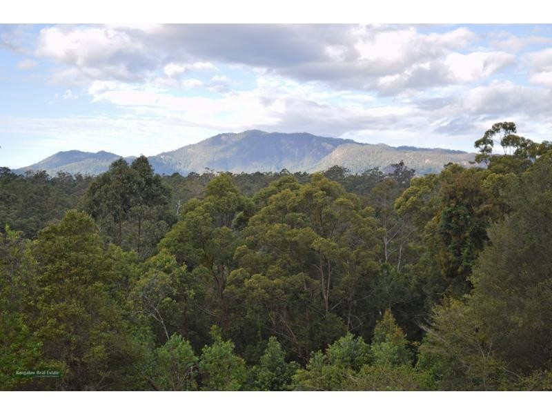 91 Midginbil Road, Uki NSW 2484