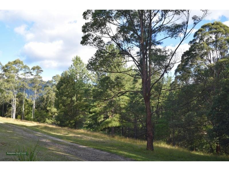 91 Midginbil Road, Uki NSW 2484