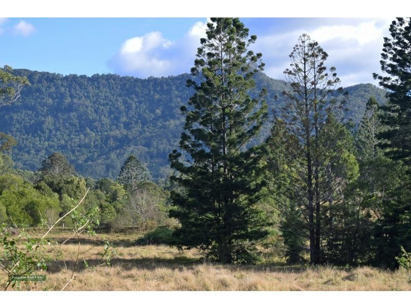 91 Midginbil Road, Uki NSW 2484