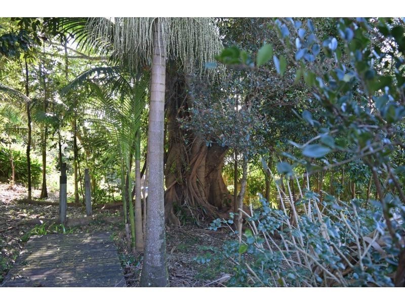 9 Booyong Road, Clunes NSW 2480