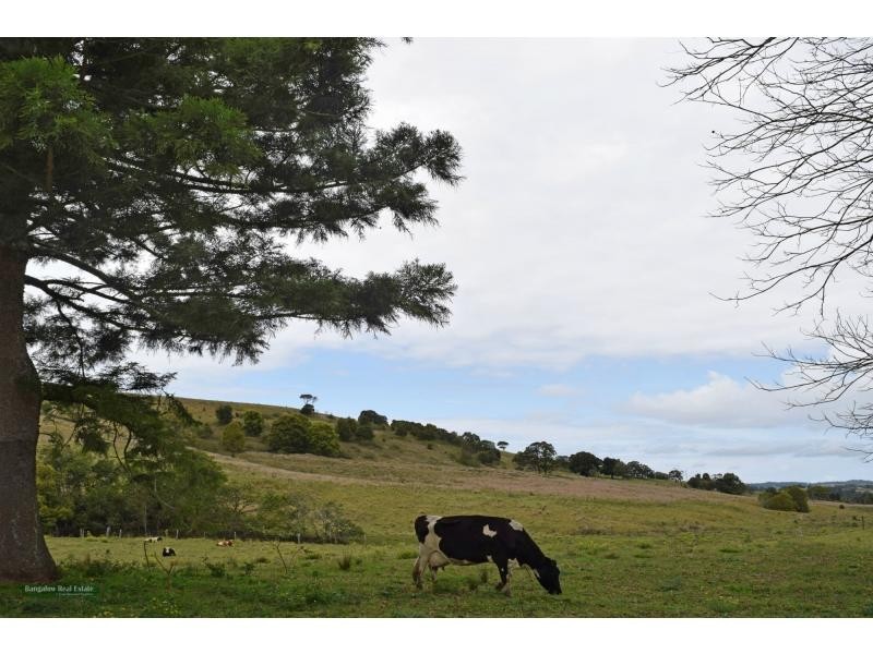 62 Virtue Road, Eltham NSW 2480