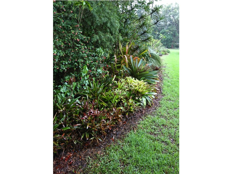 116 Rosebank Road, Rosebank NSW 2480