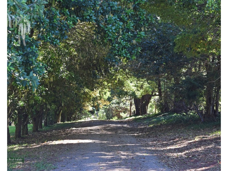 116 Rosebank Road, Rosebank NSW 2480