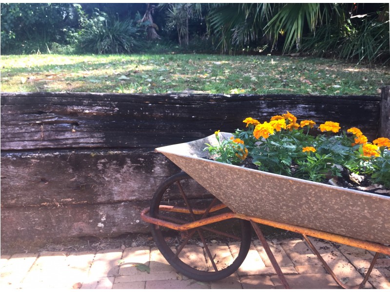 Bangalow NSW 2479