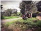 Repentance Creek NSW 2480