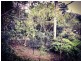 Bangalow NSW 2479