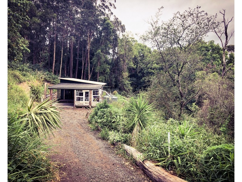 Upper Coopers Creek NSW 2482