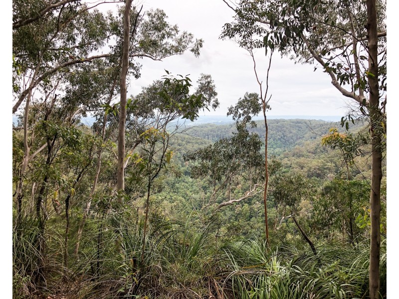 Upper Coopers Creek NSW 2482