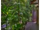 334 Friday Hut Rd, Possum Creek NSW 2479