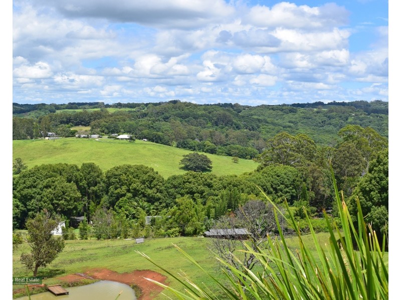 334 Friday Hut Rd, Possum Creek NSW 2479