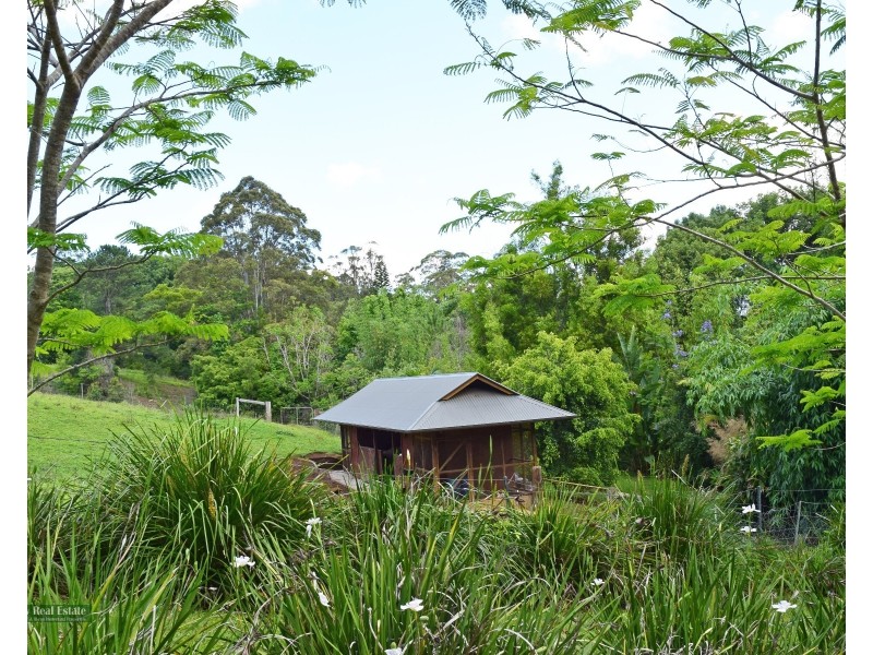 334 Friday Hut Rd, Possum Creek NSW 2479
