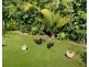 334 Friday Hut Rd, Possum Creek NSW 2479