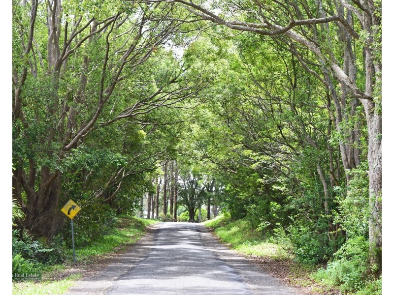 334 Friday Hut Rd, Possum Creek NSW 2479
