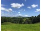 1111 Friday Hut Rd, Binna Burra NSW 2479