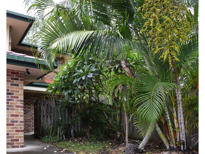 6/1-2 Cape Ct, Byron Bay NSW 2481