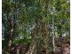 594 Hinterland Way, Newrybar NSW 2479