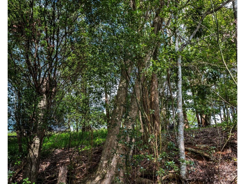 594 Hinterland Way, Newrybar NSW 2479