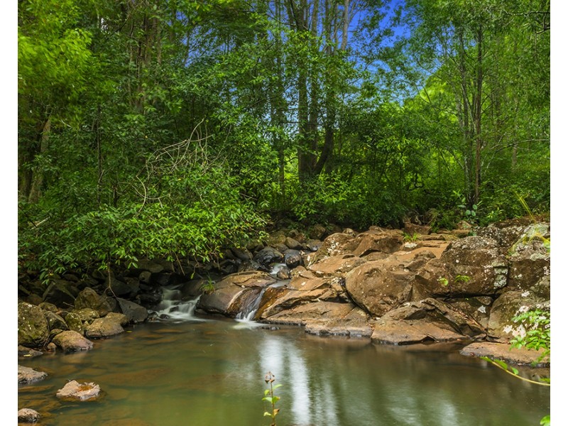 74 Willowbank Dr, Alstonvale NSW 2477