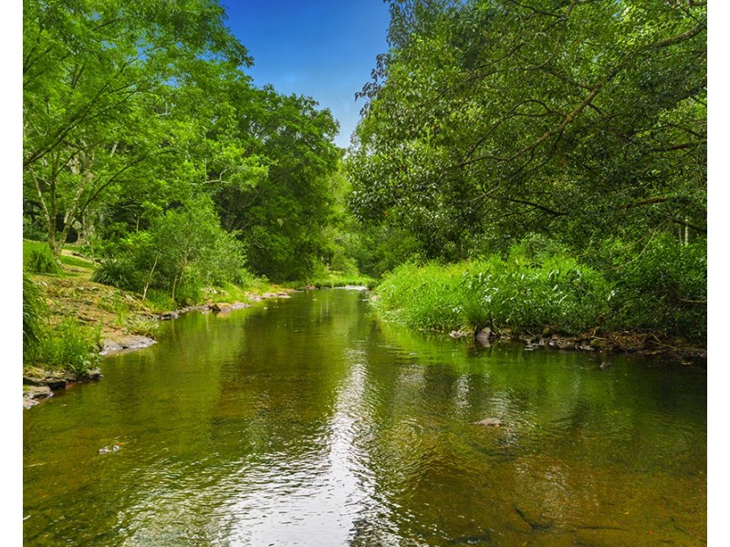 74 Willowbank Dr, Alstonvale NSW 2477