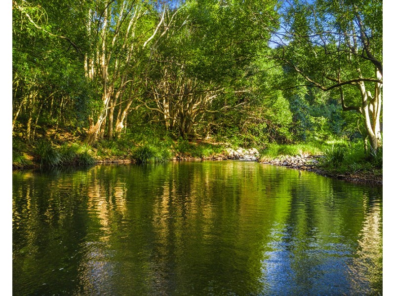 137 Friday Hut Rd, Tintenbar NSW 2478