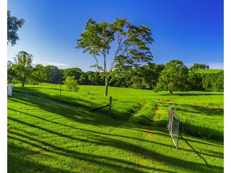 137 Friday Hut Rd, Tintenbar NSW 2478