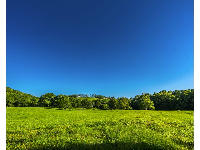 137 Friday Hut Rd, Tintenbar NSW 2478